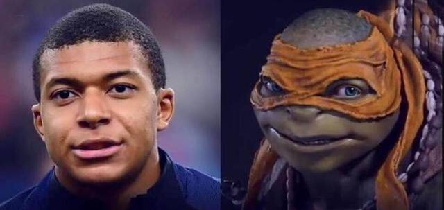 山东队双塔统治篮下